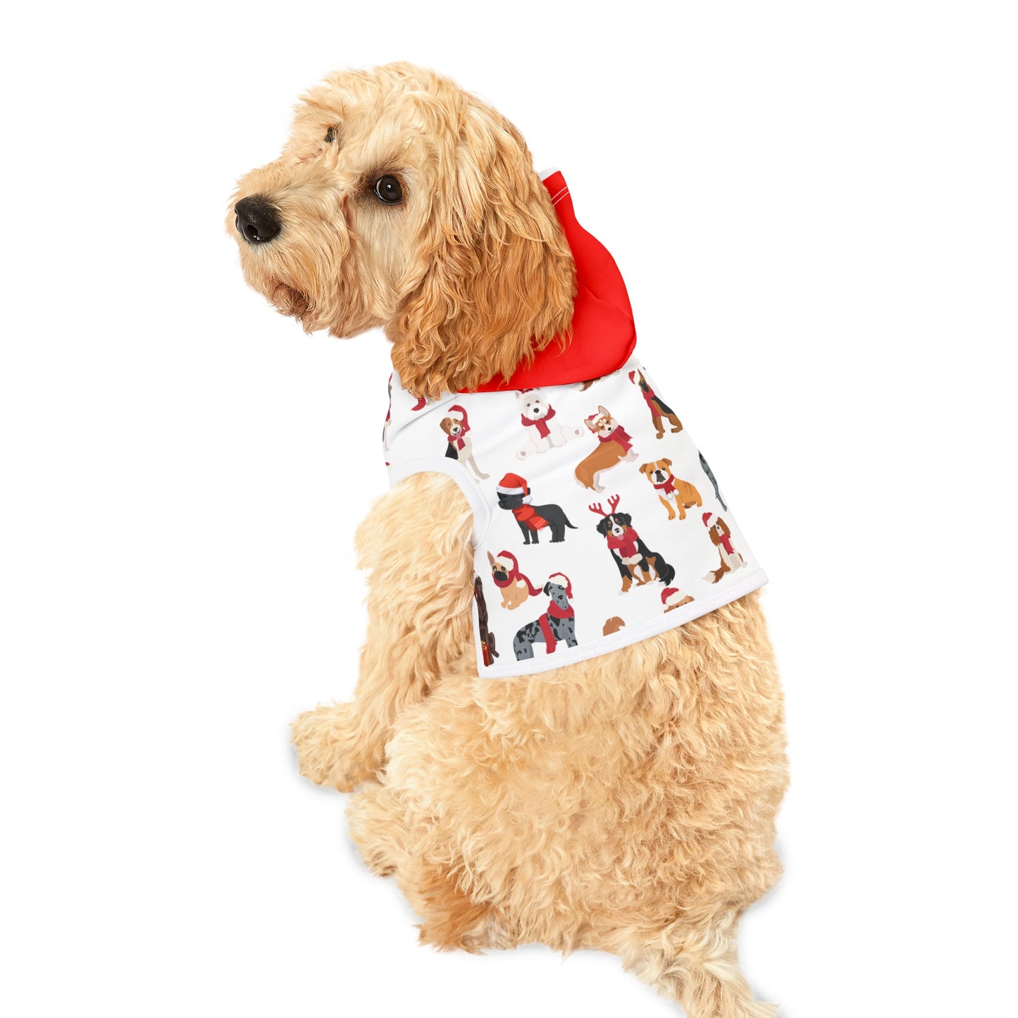 Doggie Hoodie