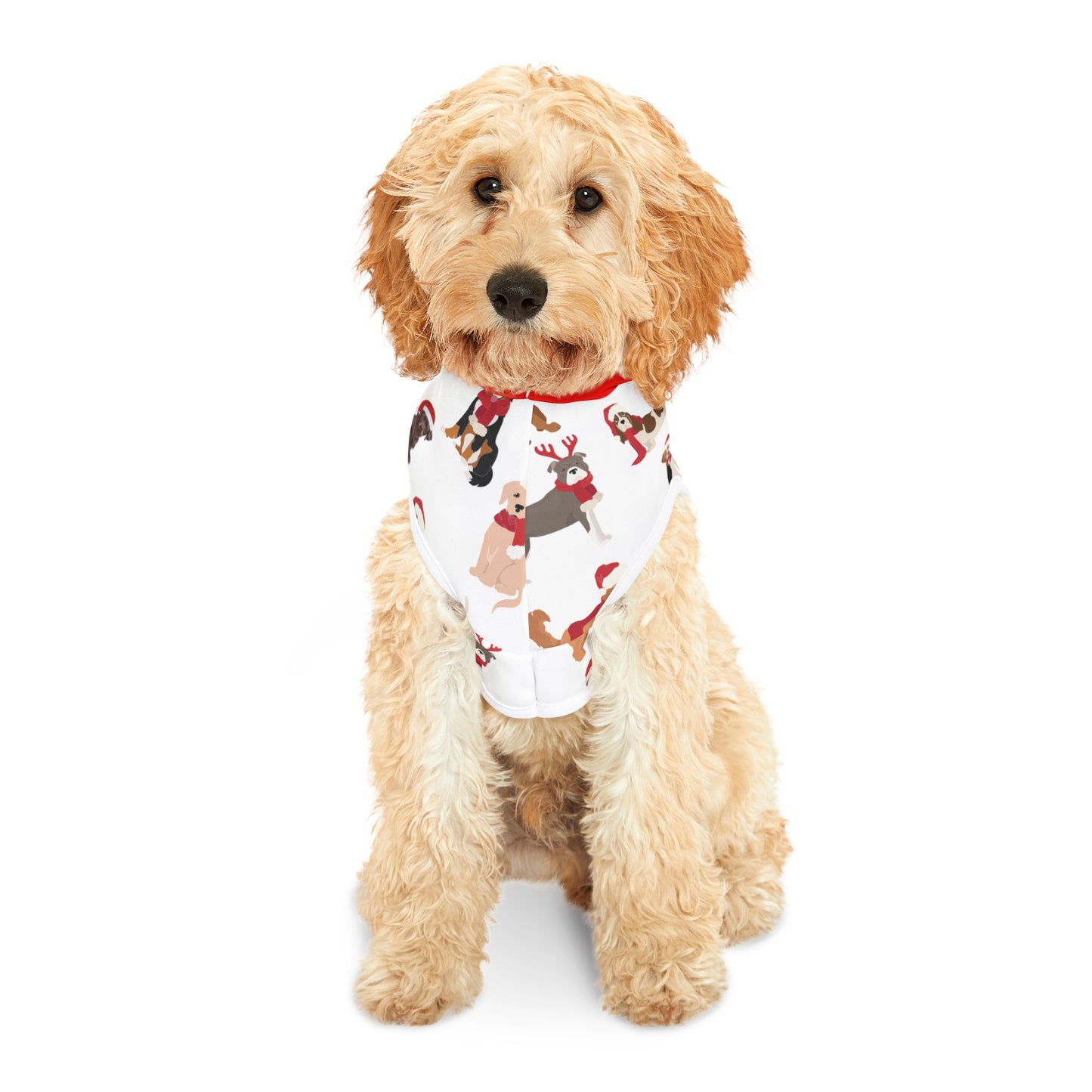 Doggie Hoodie