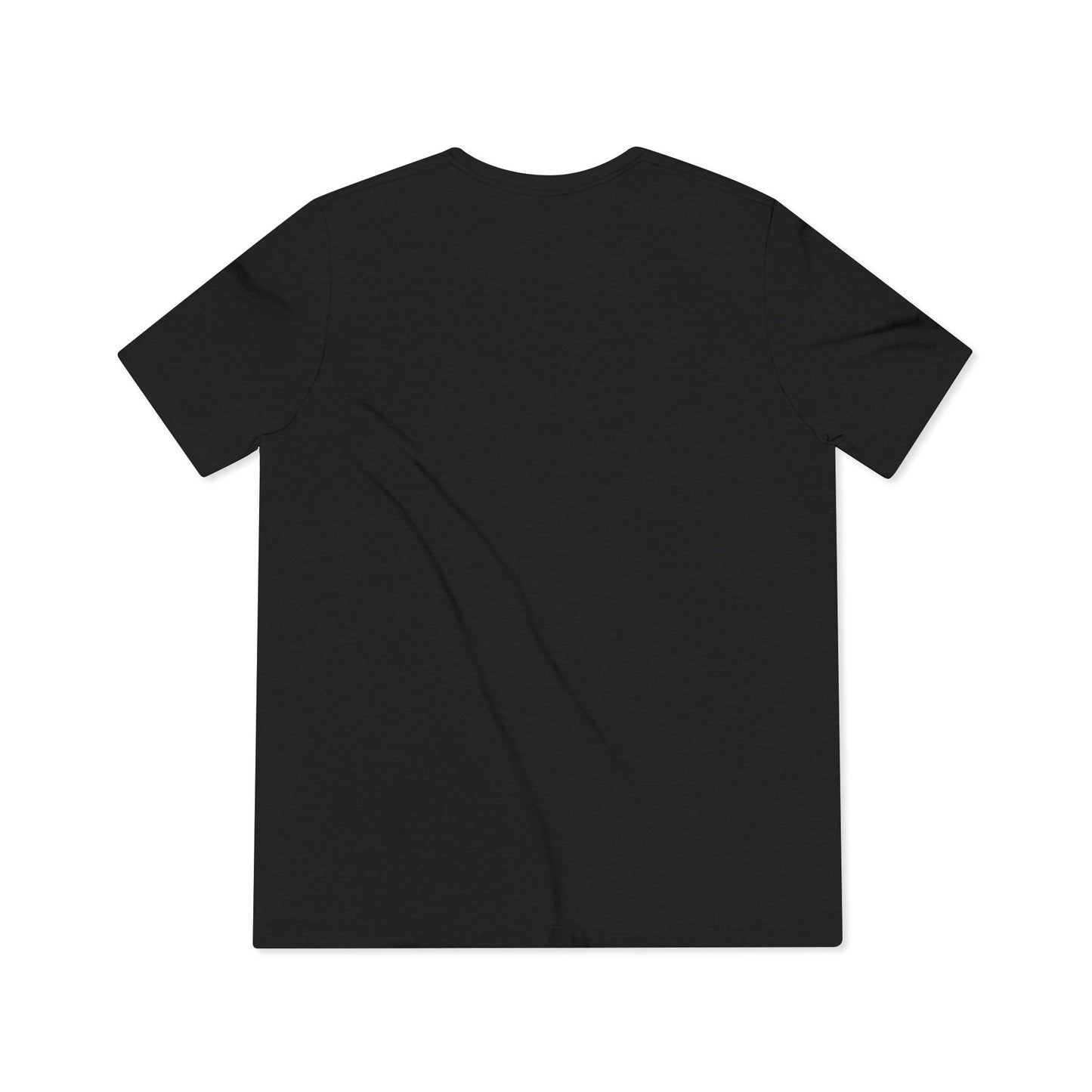 LCC Unisex Triblend Tee