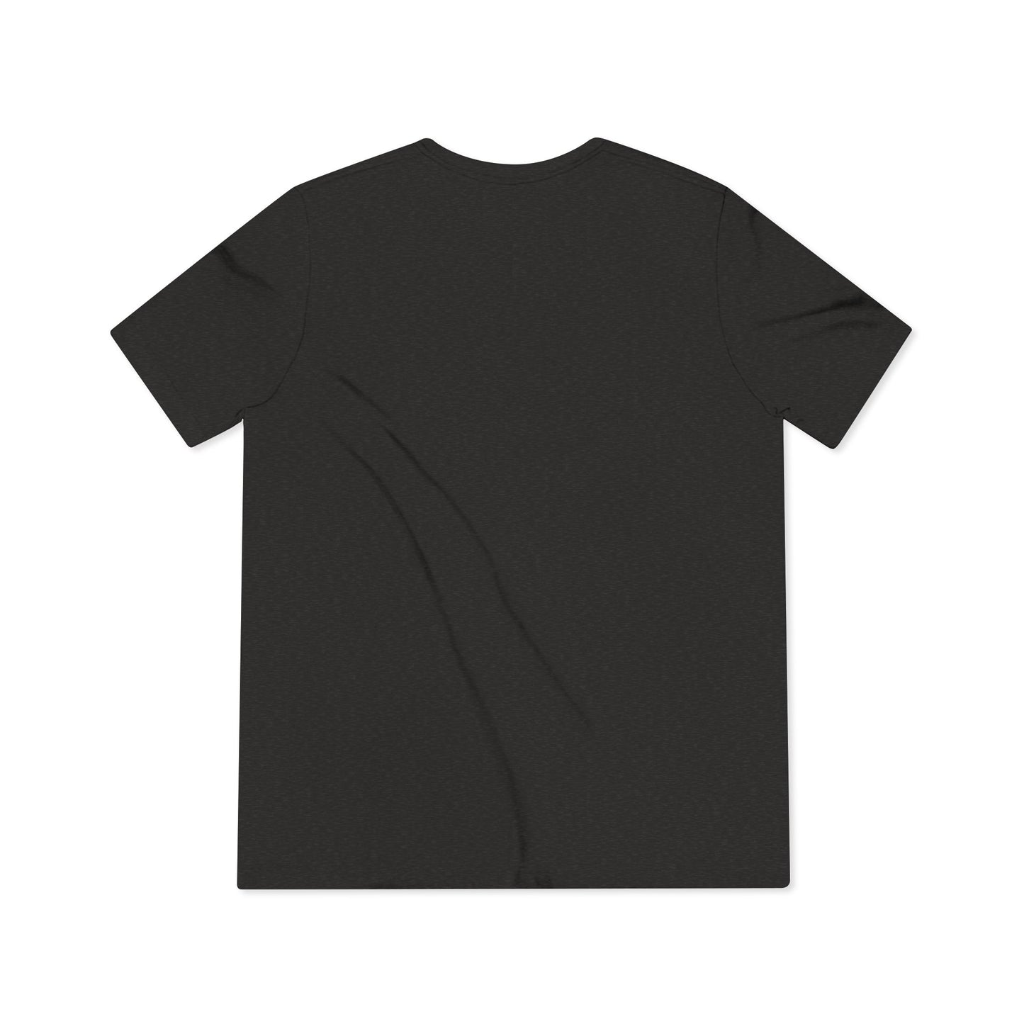 LCC Unisex Triblend Tee