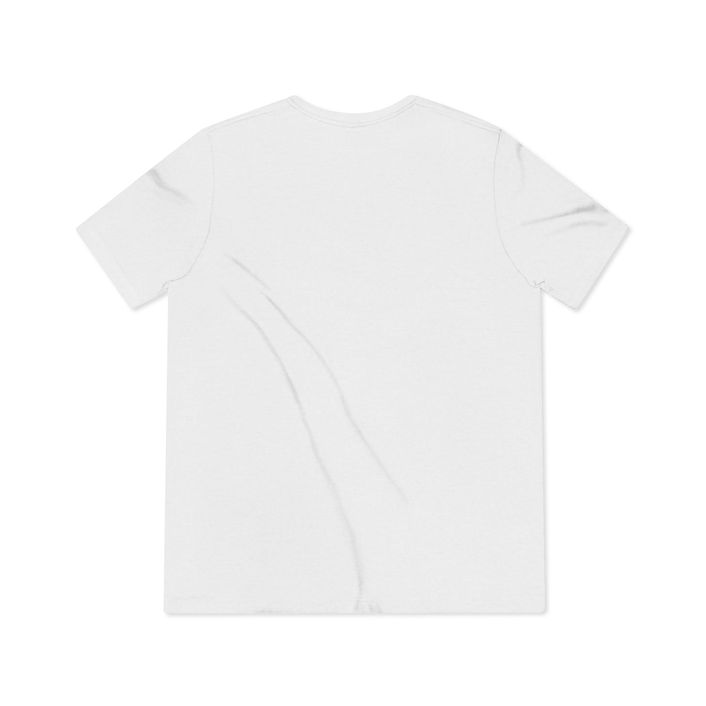 LCC Unisex Triblend Tee